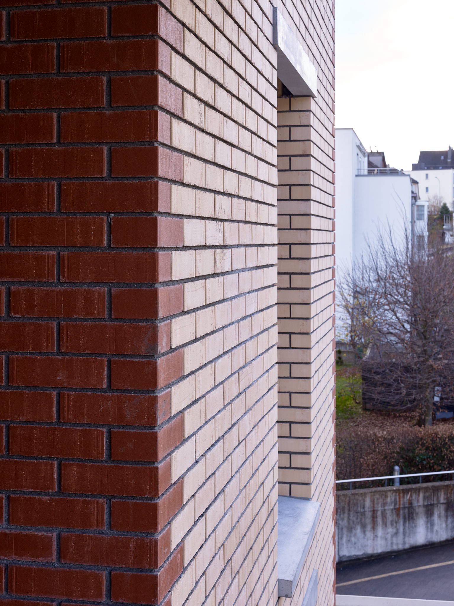 E14534 Alpa 047726 SCREEN